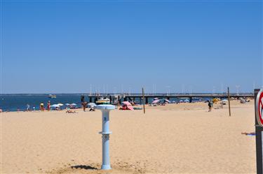 Bassin d’ Arcachon