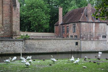 Beguinage (Begijnhof)