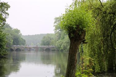 Beguinage (Begijnhof)