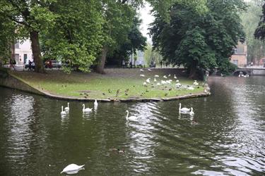 Beguinage (Begijnhof)