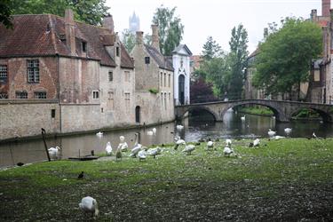 Beguinage (Begijnhof)