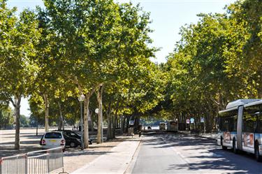 Bordeaux Center