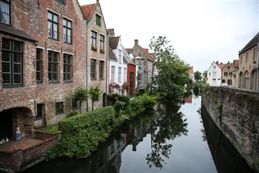 Bruges Center