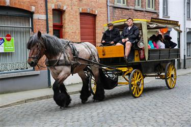 Bruges Horse Carriages