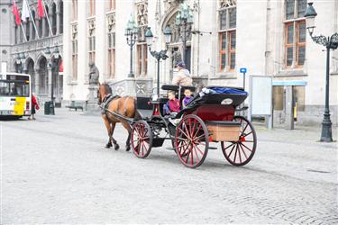 Bruges Horse Carriages