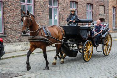 Bruges Horse Carriages