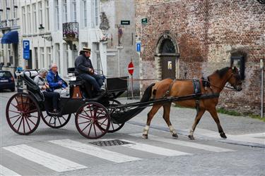 Bruges Horse Carriages