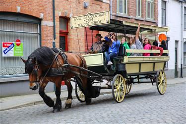 Bruges Horse Carriages