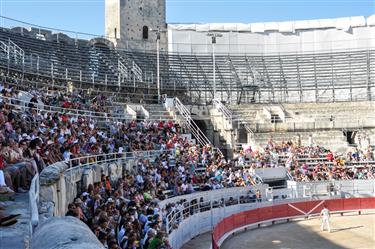 Camargue Races