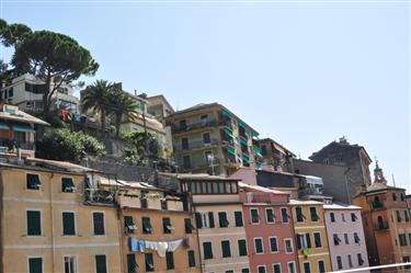 Camogli Center