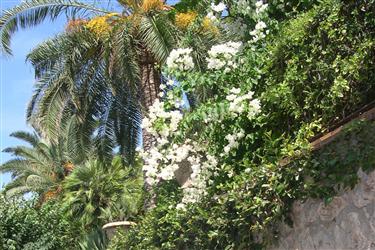 Capri Footpaths