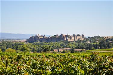 Carcassonne Center