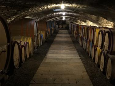 Chateau de Chassagne-Montrachet