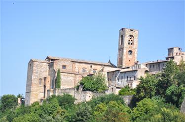 Colle di Val d’Elsa Center