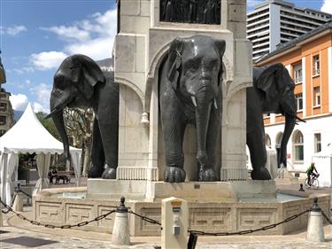 Elephant Fountain