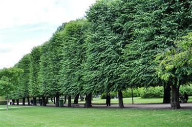 Frederiksberg Park