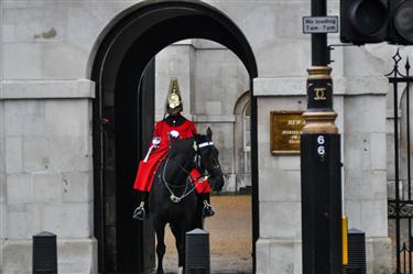 Houses of Parliament (Palace of Westminster)