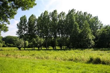 Ingendael, Valkenburg, Netherlands