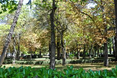 La Taconera Park