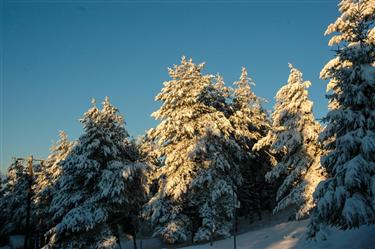 Lailias Ski Resort