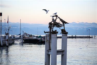 Le Fabuleux Village ou la Legende des Flottins