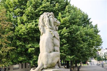 Lion Statues