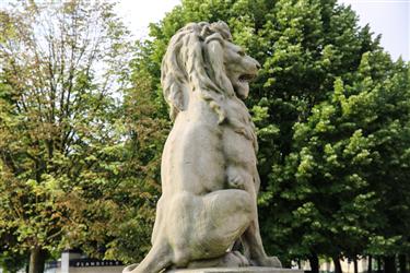 Lion Statues