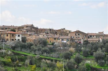 Montalcino Center