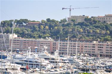 Monte Carlo Harbor (Port Hercule)