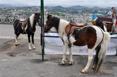 Monte Igueldo Amusement Park