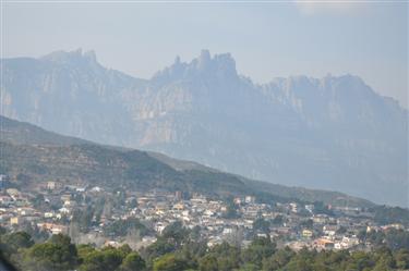 Montserrat Center