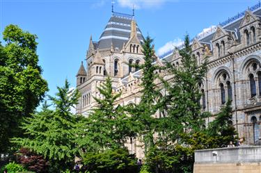 Natural History Museum