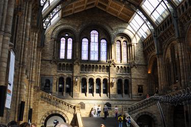 Natural History Museum