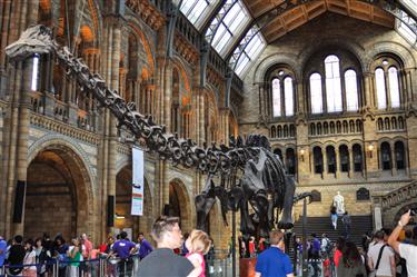 Natural History Museum