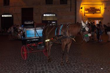 Piazza della Rotonda