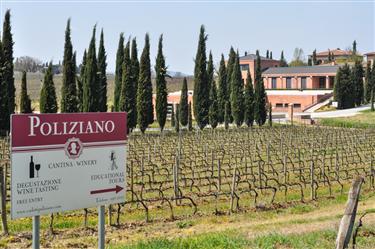 Poliziano Winery