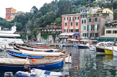 Portofino Harbor