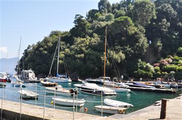 Portofino Harbor