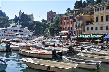 Portofino Harbor