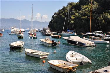 Portofino Harbor