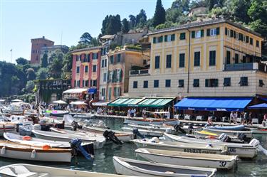 Portofino Harbor