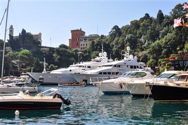 Portofino Harbor