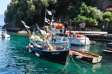 Portofino Harbor