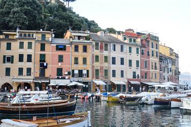 Portofino Harbor