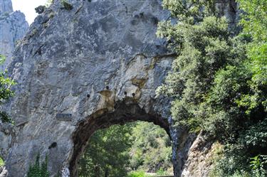 Pyrenees