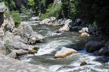 Pyrenees