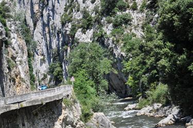 Pyrenees