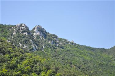 Pyrenees