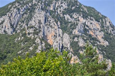 Pyrenees