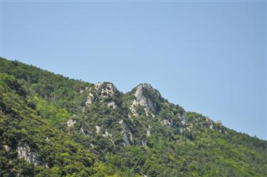 Pyrenees